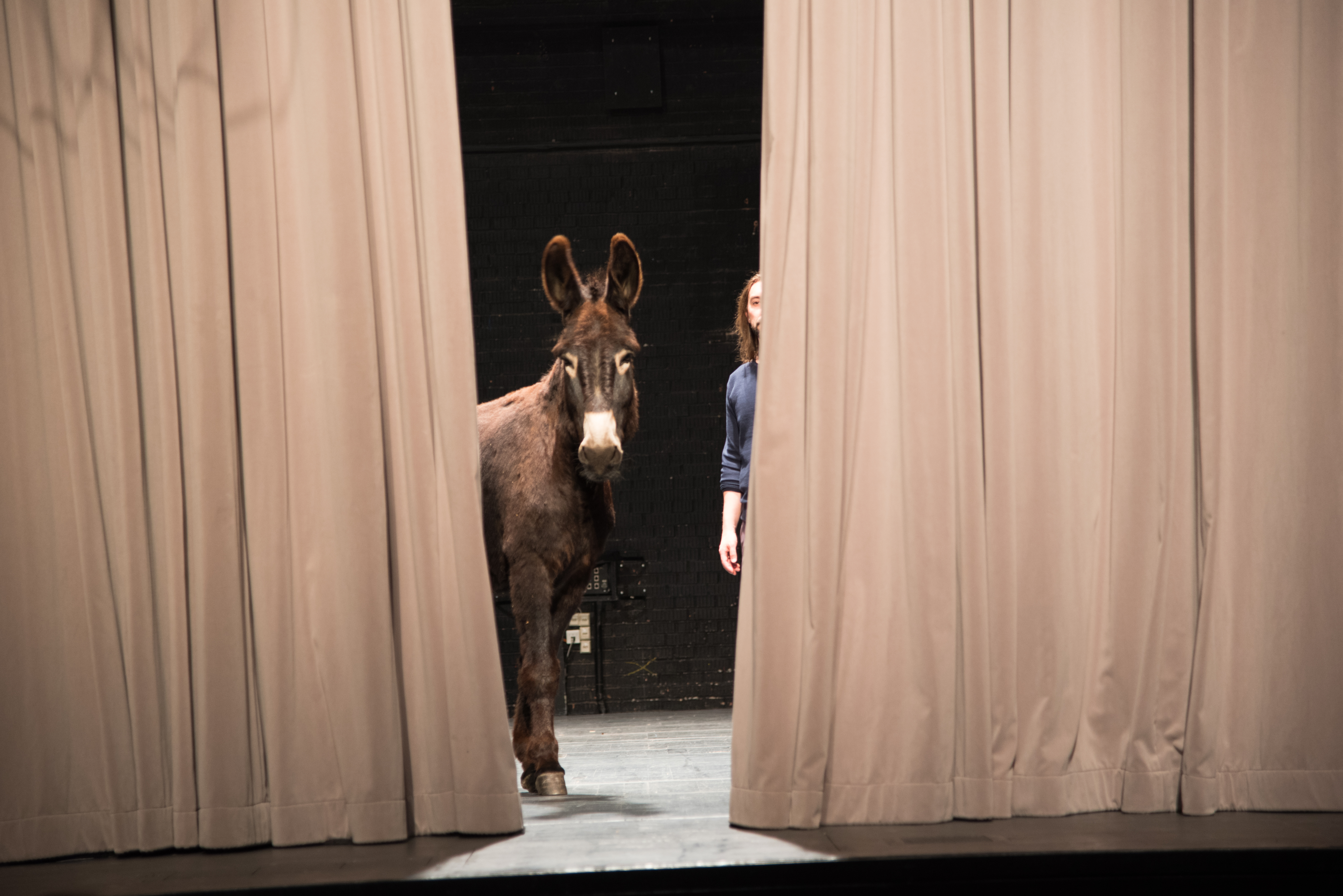 David Weber-Krebs, Balthazar © Marie Urban